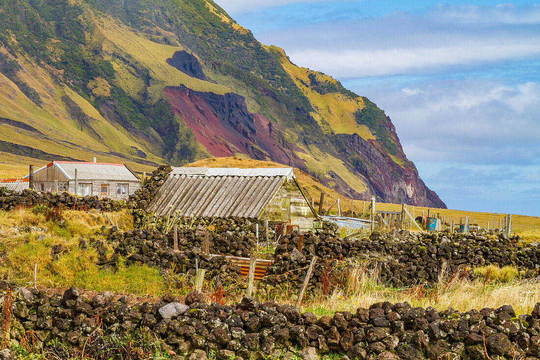 View of the potato patch on Tristan da Cunha, the most remote inhabited location on Earth, Tristan da Cunha, South Atlantic Ocean