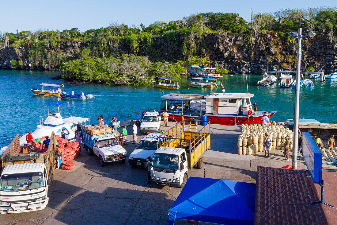 Scenic view of the port town of Puerto Ayora, Santa Cruz Island, Galapagos Island Archipelago, UNESCO World Heritage Site, Ecuador, South America