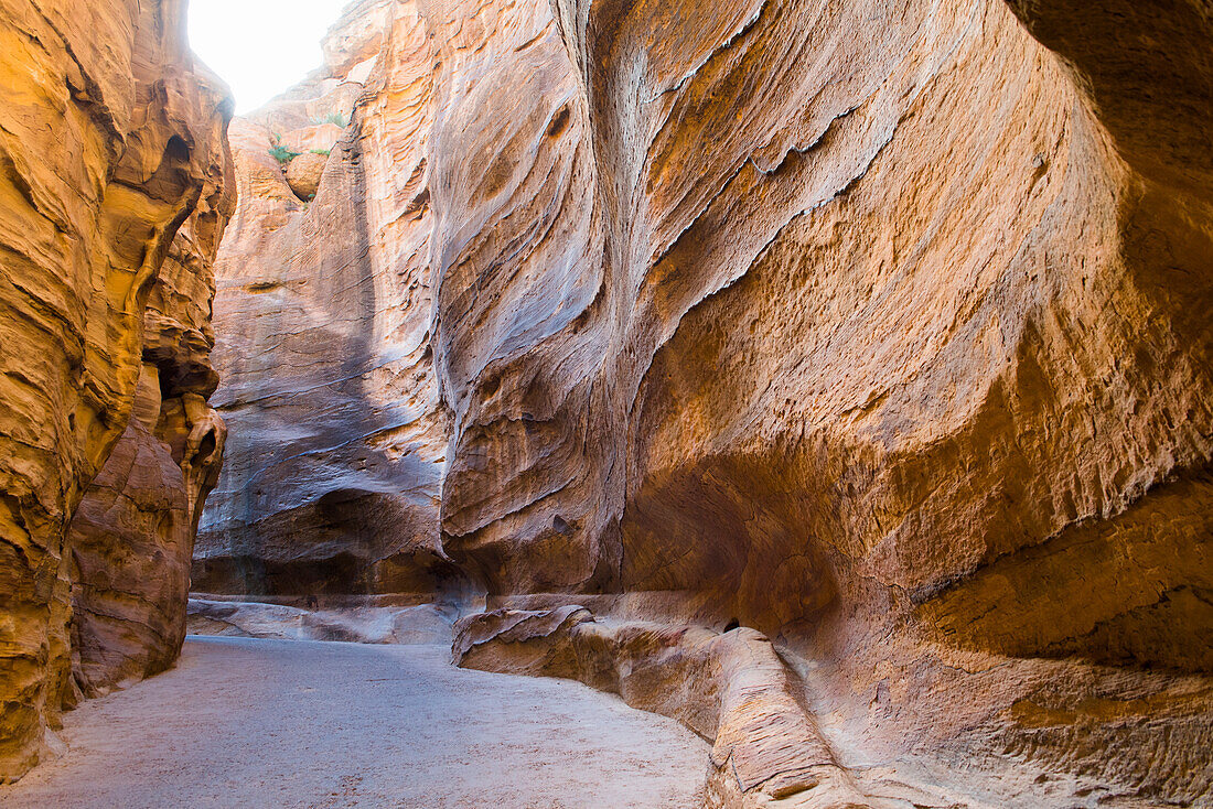 Aqueduct dug into the walls of the Siq, narrow gorge leading to the historic and archaeological Nabataean city of Petra, UNESCO World Heritage Site, Jordan, Middle East