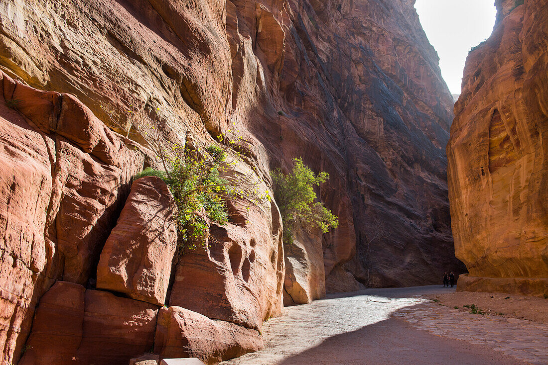 Der Siq,enge Schlucht,die zur historischen und archäologischen Nabatäerstadt Petra führt,UNESCO-Welterbestätte,Jordanien,Naher Osten