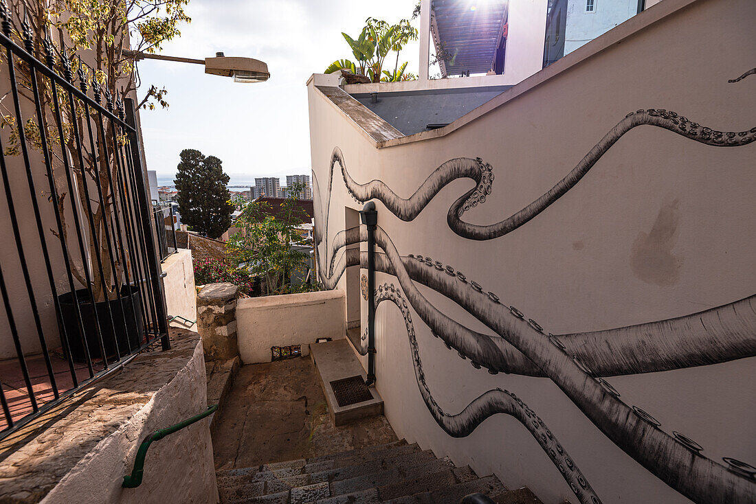 Kraken Street art on white walls, Gibraltar Castle Steps, beautiful residential area on the hill of narrow alleys, Gibraltar, Europe