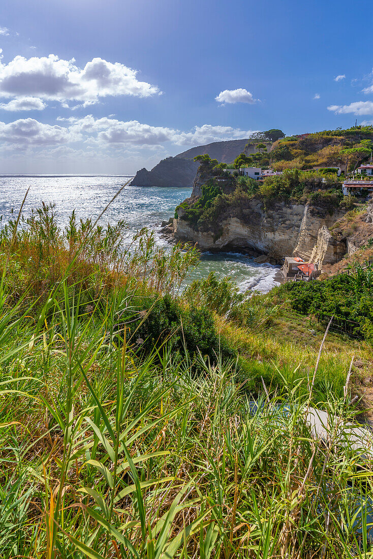 View of coastline from elevated position in Sant'Angelo, Sant'Angelo, Island of Ischia, Campania, Italy, Europe