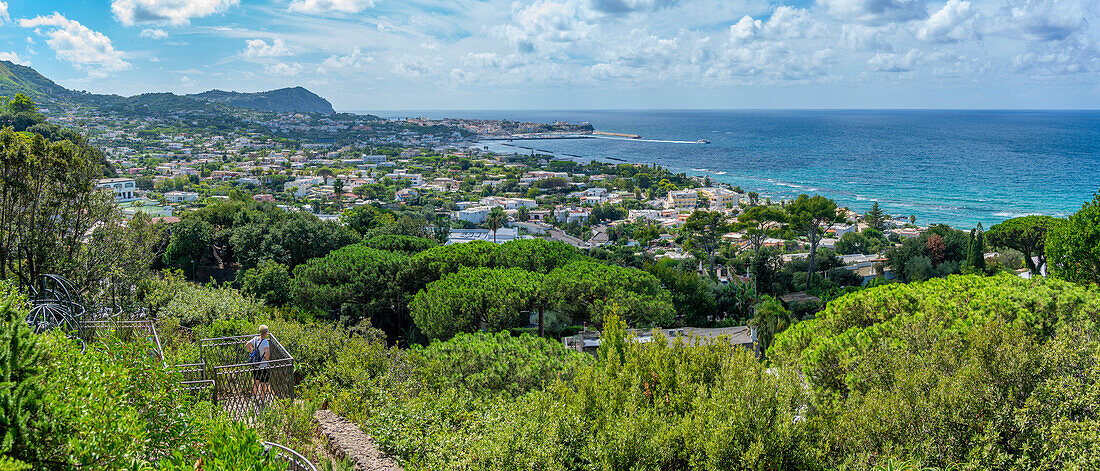 Blick auf tropische Flora im Botanischen Garten Giardini la Mortella und Forio im Hintergrund,Forio,Insel Ischia,Kampanien,Italien,Europa