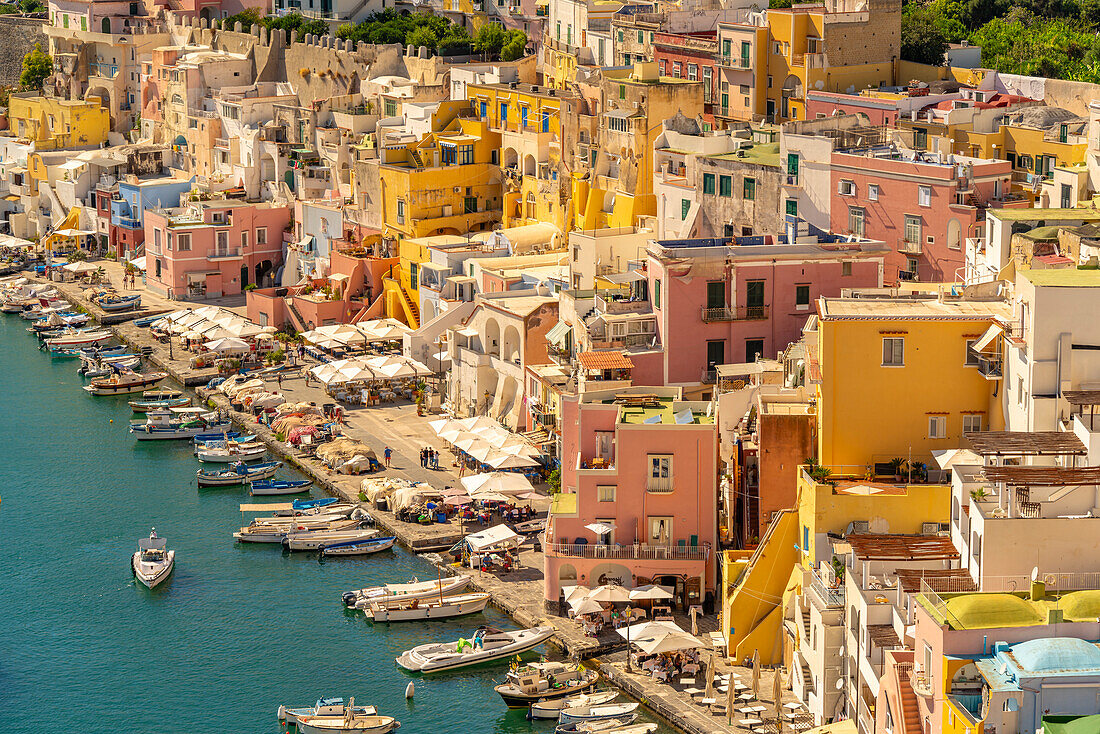 View of Marina di Corricella from elevated position, Procida, Phlegraean Islands, Gulf of Naples, Campania, Southern Italy, Italy, Europe