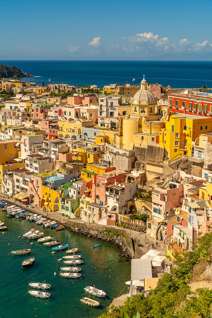 View of Marina di Corricella from elevated position, Procida, Phlegraean Islands, Gulf of Naples, Campania, Southern Italy, Italy, Europe