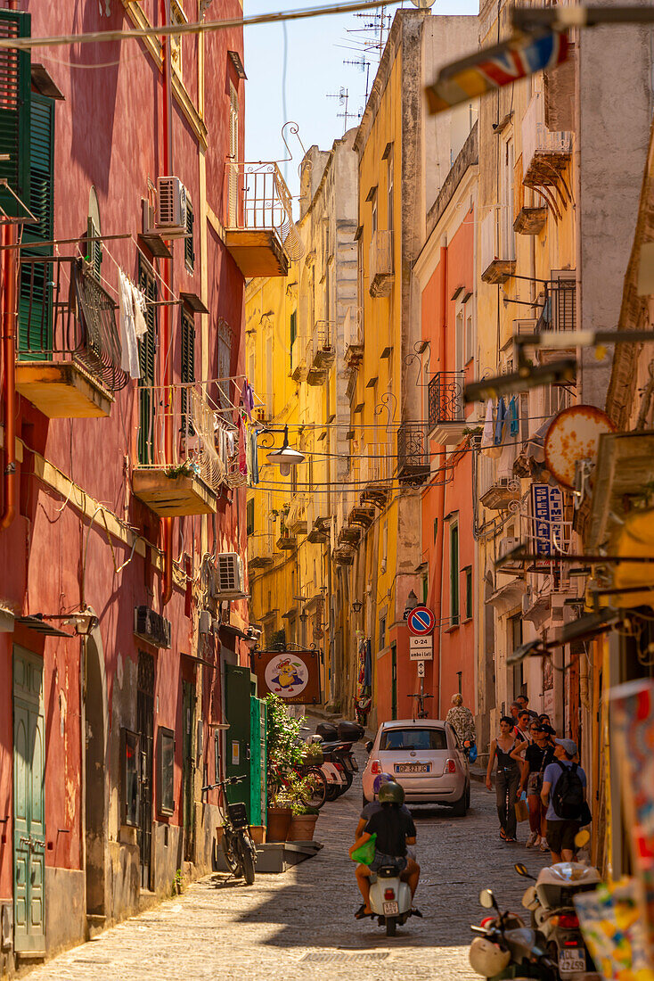 Blick auf eine bunte,enge Gasse im Fischerhafen,Procida,Phlegräische Inseln,Golf von Neapel,Kampanien,Süditalien,Italien,Europa