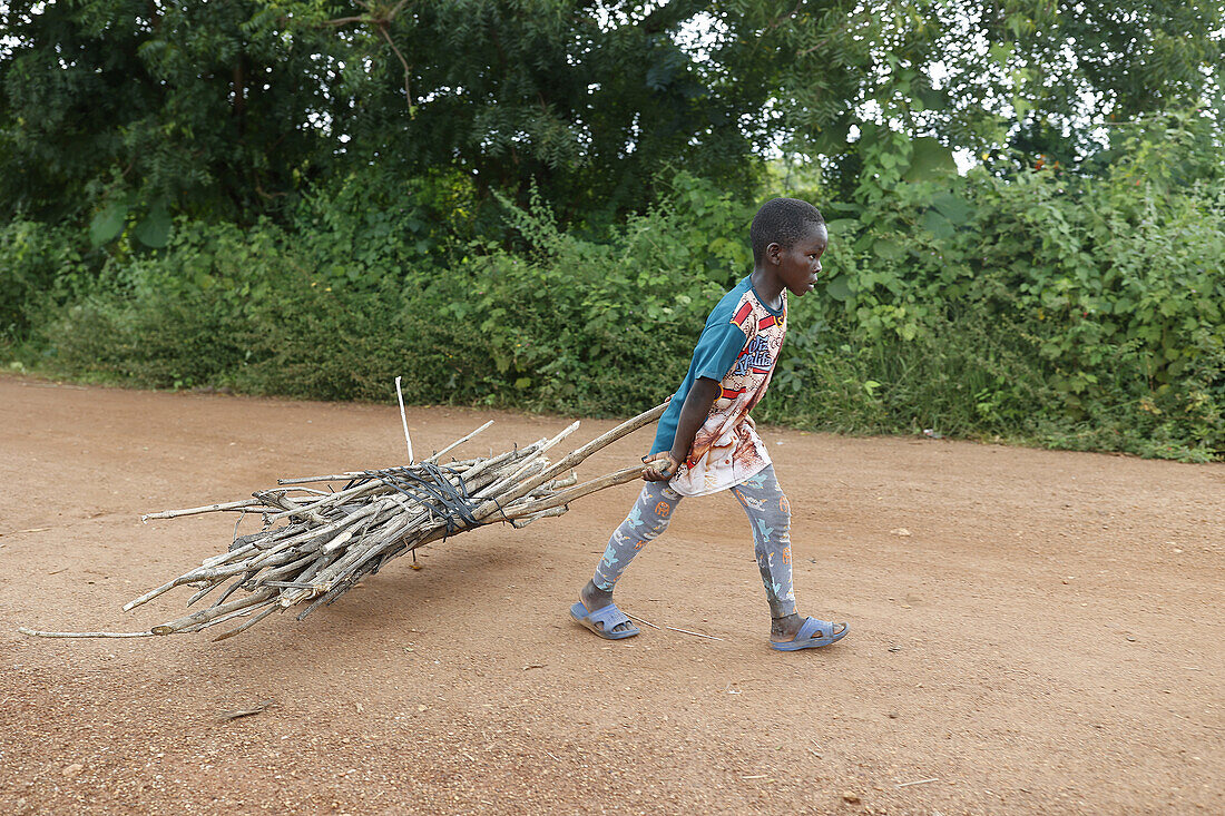 Junge holt Holz in Takpatchiomey,Couffo,Benin,Westafrika,Afrika