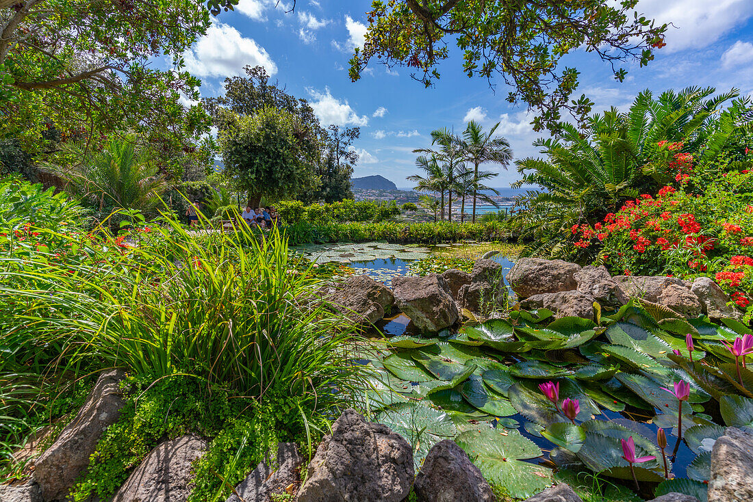 View of tropical flora in Giardini la Mortella Botanical Gardens, Forio, Island of Ischia, Campania, Italy, Europe