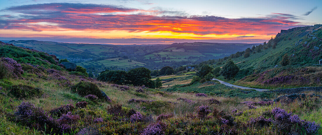 Blick auf die Landschaft von Curbar Edge mit lila blühendem Heidekraut bei Sonnenuntergang,Peak District National Park,Baslow,Derbyshire,England,Vereinigtes Königreich,Europa