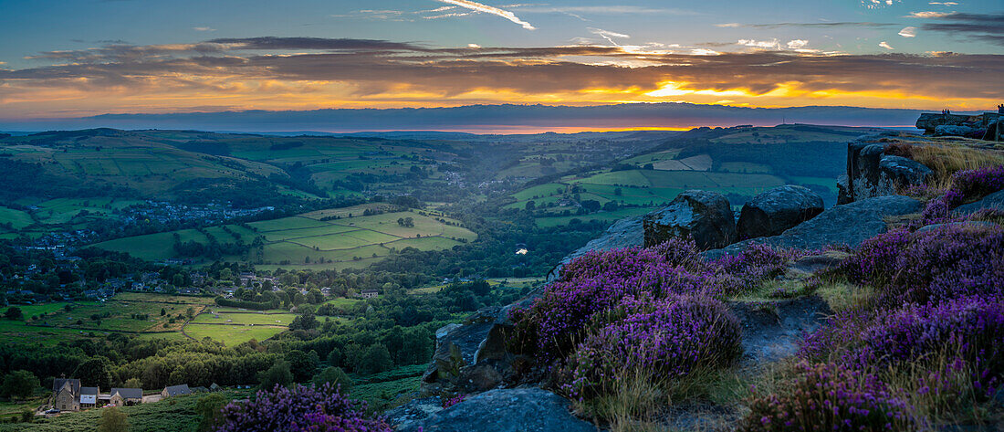 View of landscape from Curbar Edge with purple flowering heather at sunset, Peak District National Park, Baslow, Derbyshire, England, United Kingdom, Europe