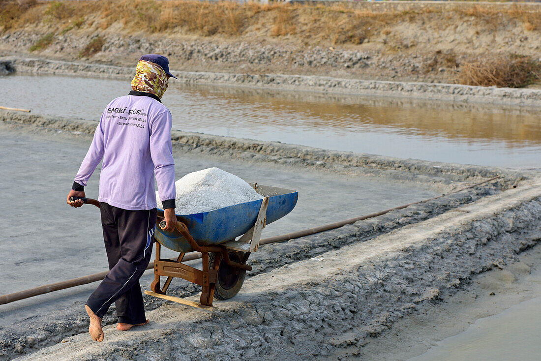 Worker pushing wheel barrow full of salt, Salt fields at Karangjahe, near Lasem, Java island, Indonesia, Southeast Asia, Asia