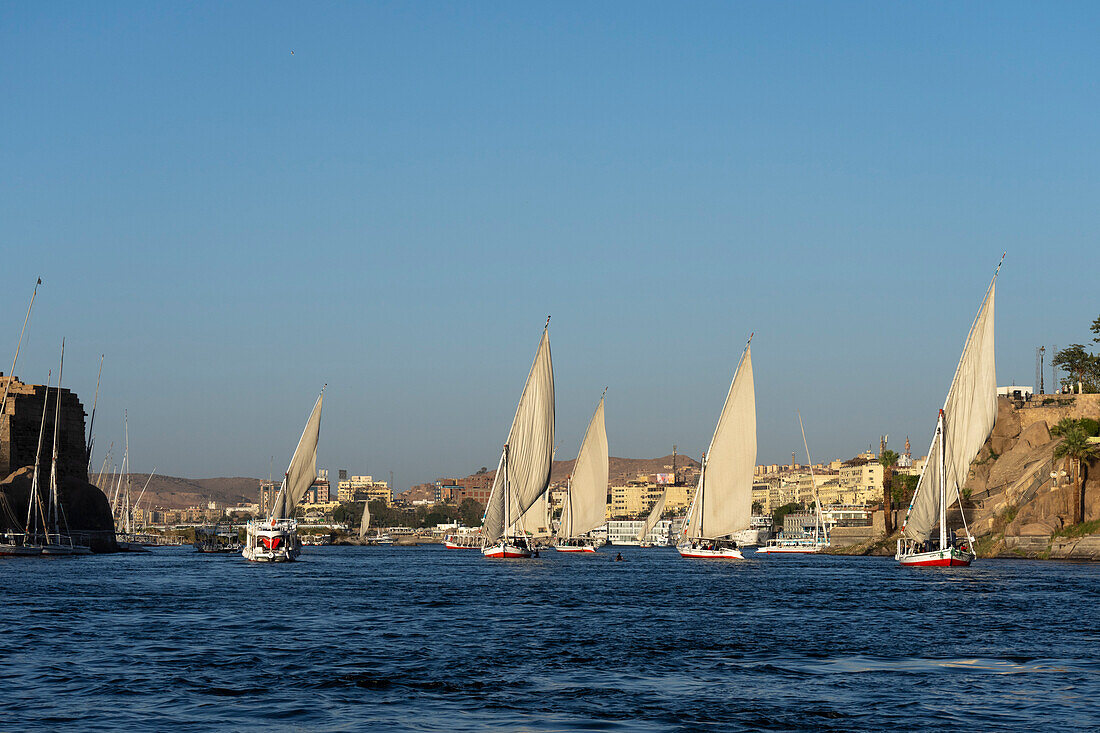 Feluccas on the Nile river, Aswan, Egypt, North Africa, Africa