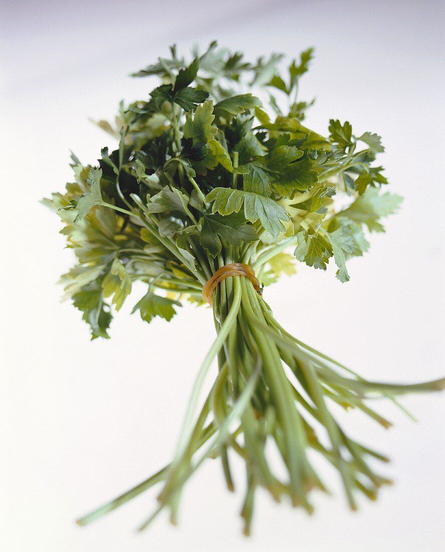 A posy of parsley