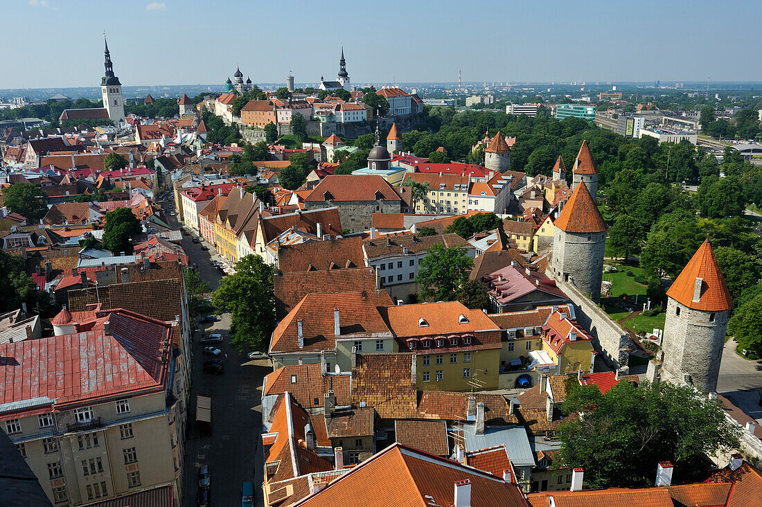 Die Altstadt vom Turm der St. Olavs-Kirche aus gesehen,UNESCO-Weltkulturerbe,Tallinn,Estland,Europa