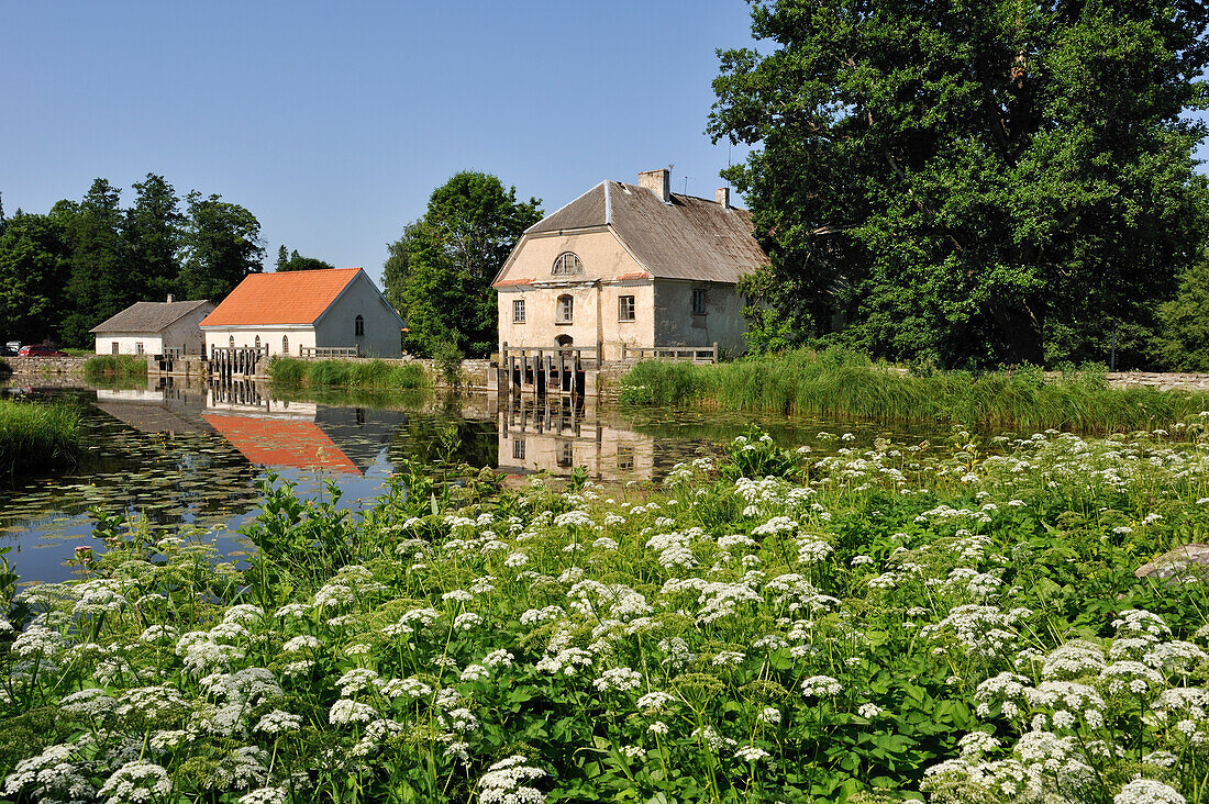 Pond of Vihula Manor Country Club, Lahemaa National Park, Estonia, Europe