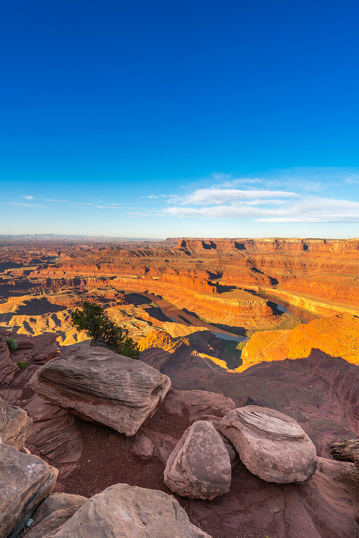 Bend of Colorado River at Dead Horse Point at sunrise, Dead Horse Point State Park, Utah, United States of America, North America