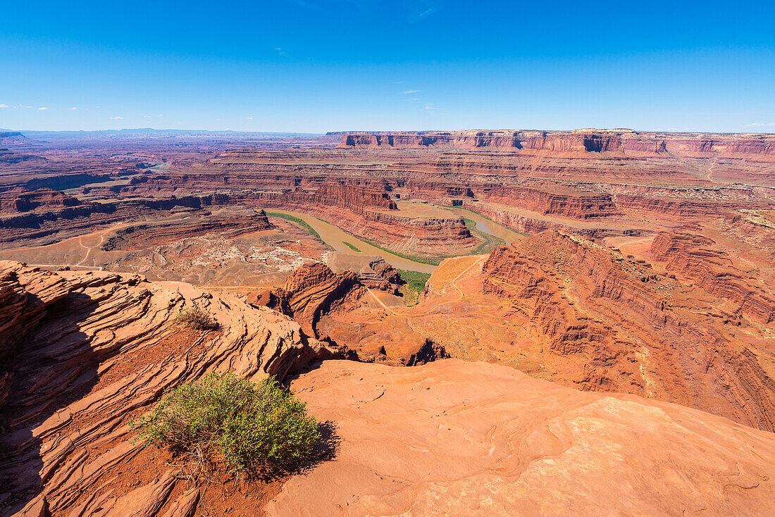 Bend of Colorado River at Dead Horse Point, Dead Horse Point State Park, Utah, United States of America, North America