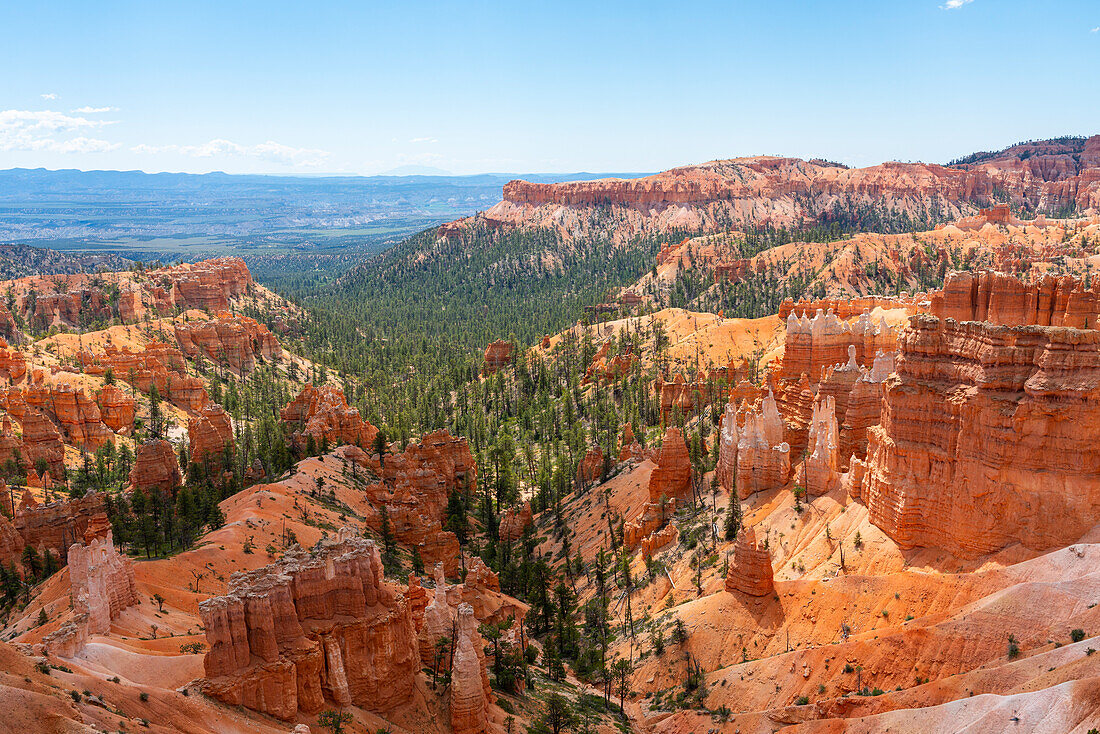 Panoramablick auf Hoodoos und Felsformationen,Rim Trail,Bryce Canyon National Park,Utah,Vereinigte Staaten von Amerika,Nordamerika