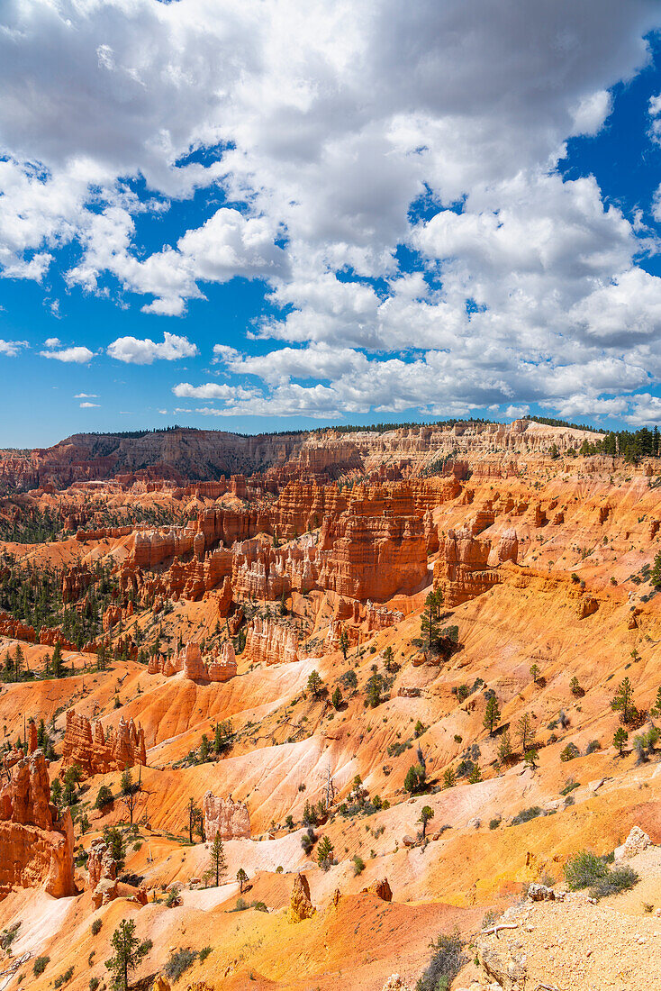 Panoramablick auf Hoodoos und Felsformationen,Rim Trail in der Nähe des Sunrise Point,Bryce Canyon National Park,Utah,Vereinigte Staaten von Amerika,Nordamerika