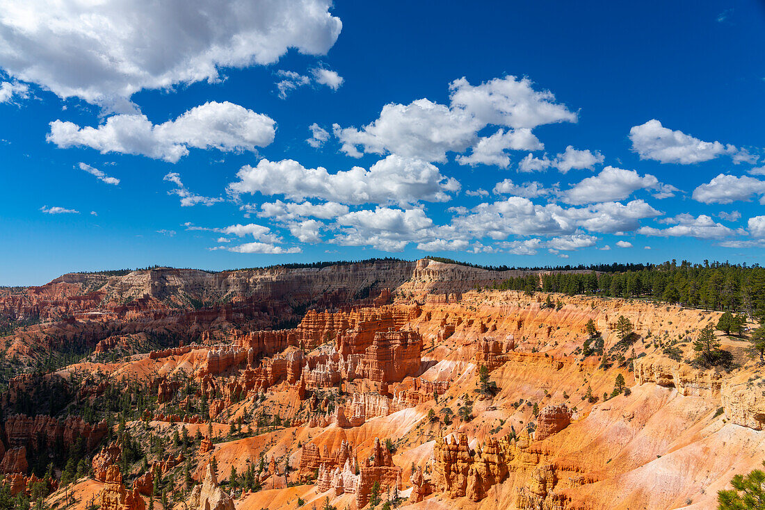 Panoramablick auf Hoodoos und Felsformationen,Sunrise Point,Bryce Canyon National Park,Utah,Vereinigte Staaten von Amerika,Nordamerika