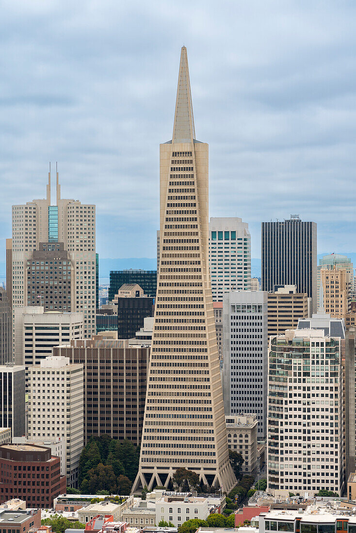 Transamerica Pyramid in der Stadt,San Francisco,Kalifornien,Vereinigte Staaten von Amerika,Nordamerika