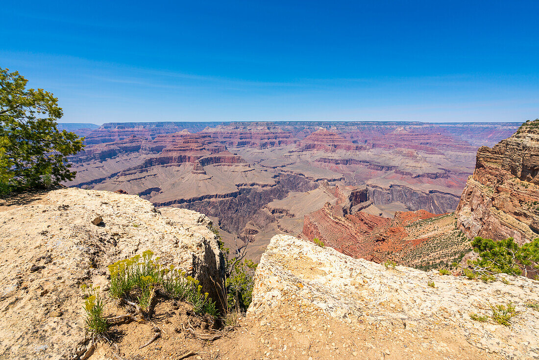 Grand Canyon,von der Hermit Road in der Nähe von Mohave Point,Grand Canyon National Park,UNESCO-Welterbe,Arizona,Vereinigte Staaten von Amerika,Nordamerika