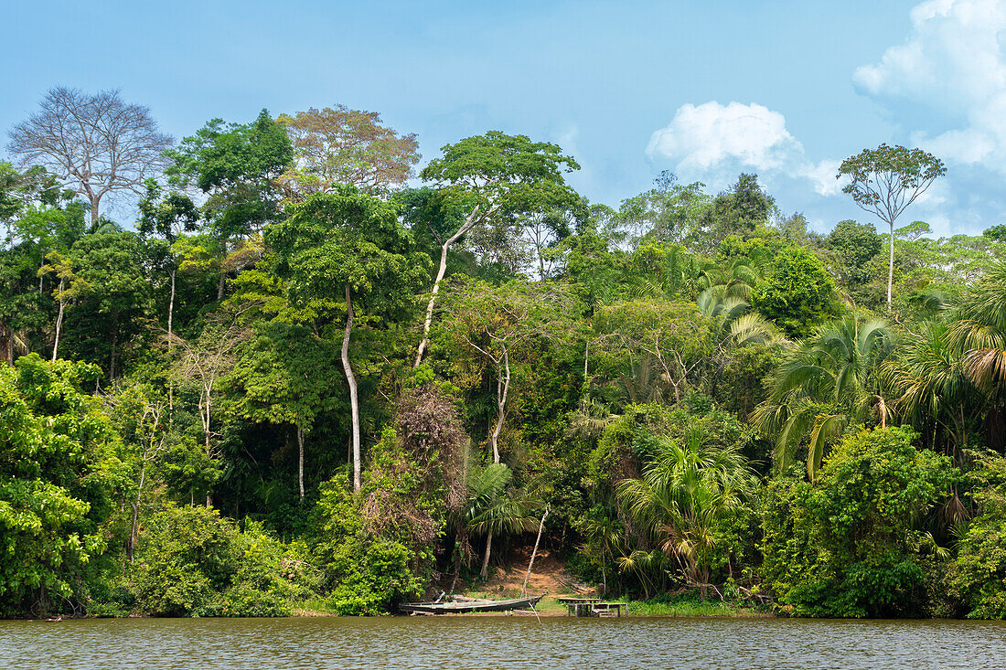 Lake Sandoval, Tambopata National Reserve, Puerto Maldonado, Madre de Dios, Peru, South America