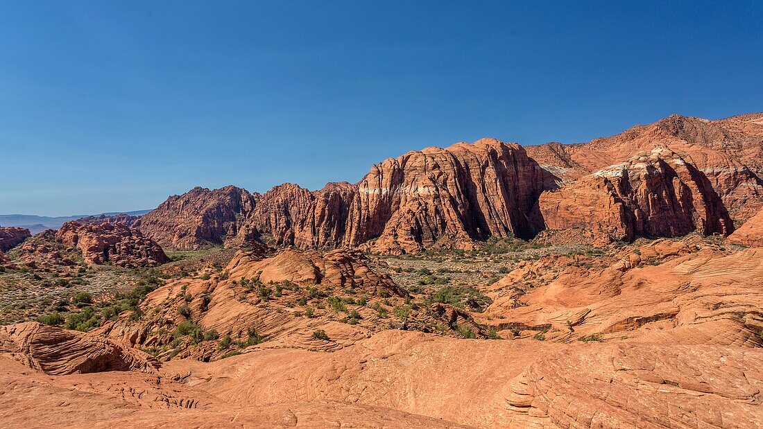 Die Roten Berge erheben sich hinter den versteinerten Sanddünen im Snow Canyon State Park,Süd-Utah,Vereinigte Staaten von Amerika,Nordamerika. Viele berühmte Filme wurden in diesem Park gedreht,der zum Red Cliffs Desert Reserve gehört.