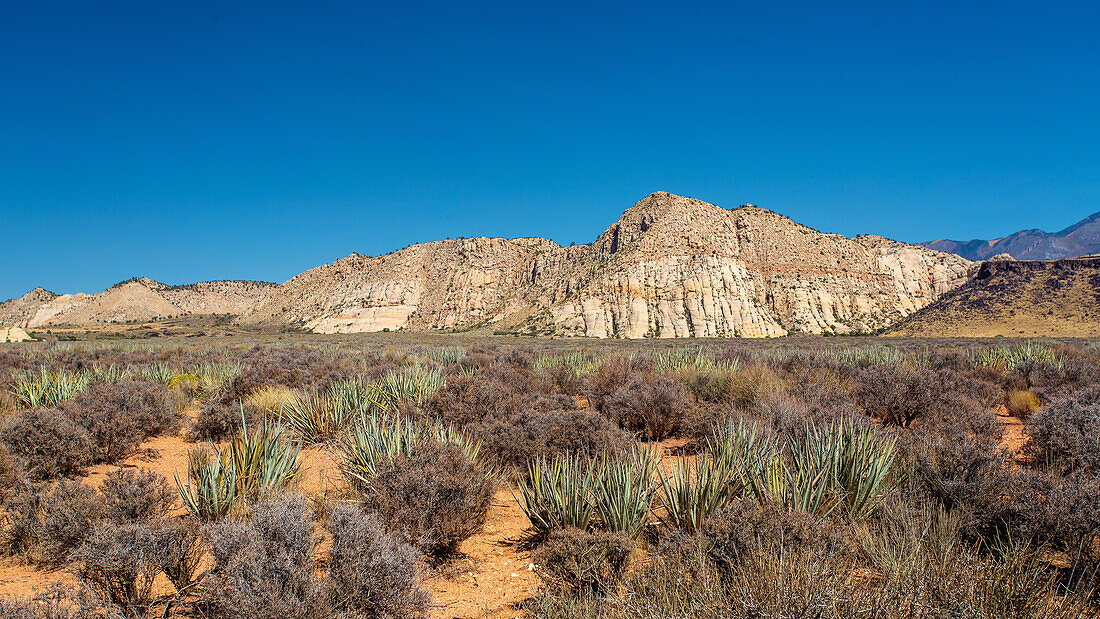 The White Rocks in the north of Snow Canyon State Park near St. George, Southern Utah, United States of America, North America.