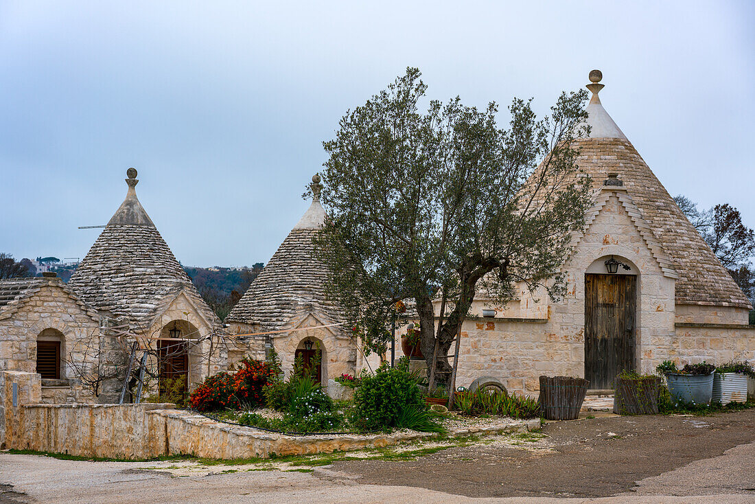 Ikonische alte Trullo und Trulli weiße Häuser mit Steindecken in Kegelform,UNESCO-Weltkulturerbe,Alberobello,Apulien,Italien,Europa