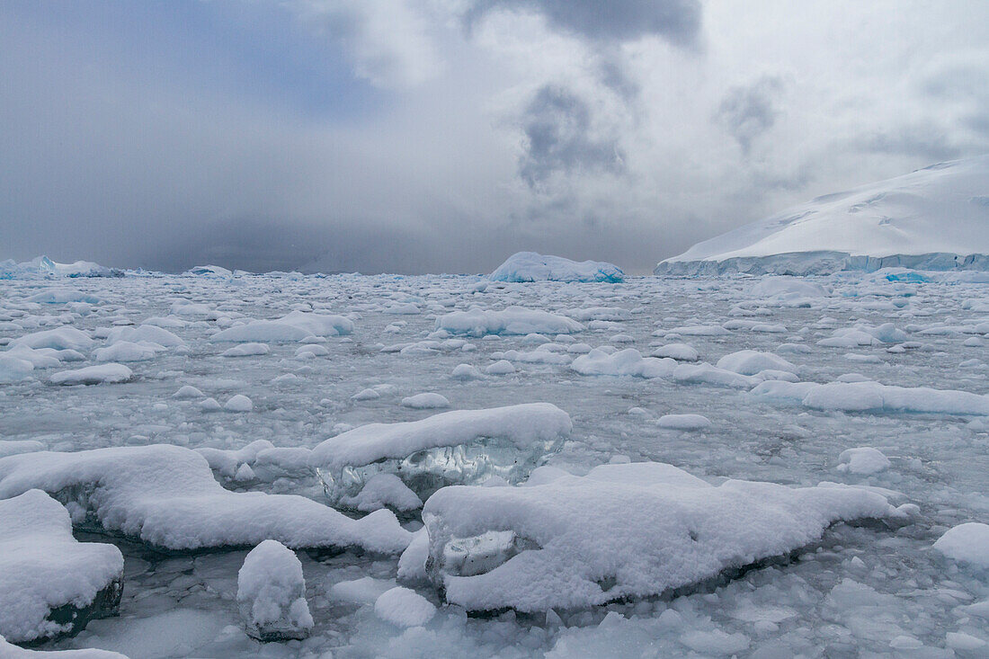 Icebergs and brash ice in Kayak Cove, during the austral summer months, Brabant Island, near the Antarctic Peninsula, Antarctica, Polar Regions