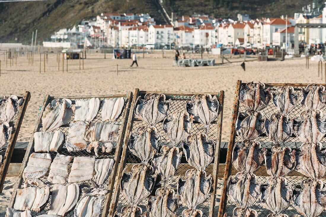 Fish drying at Nazare Beach, Nazare, Oeste, Estremadura, Portugal, Europe