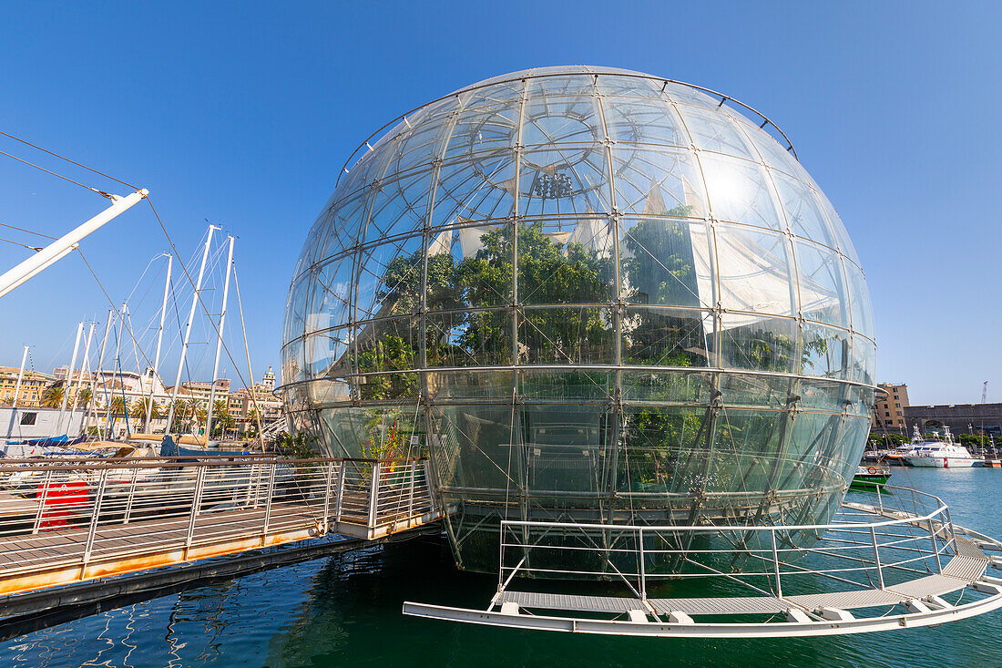 La Biosfera, tropical wildlife in a waterfront sphere, Genoa, Liguria, Italy, Europe