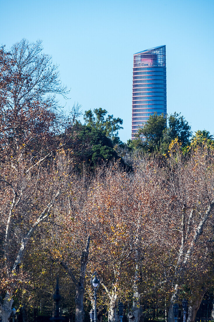 Blick auf den Torre Sevilla,der sich über die Bäume im malerischen Maria-Luisa-Park in Sevilla,Spanien,erhebt,unter einem klaren blauen Himmel.