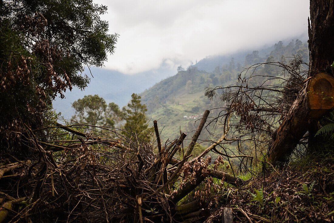 Combeima Canyon, Ibague, Colombia