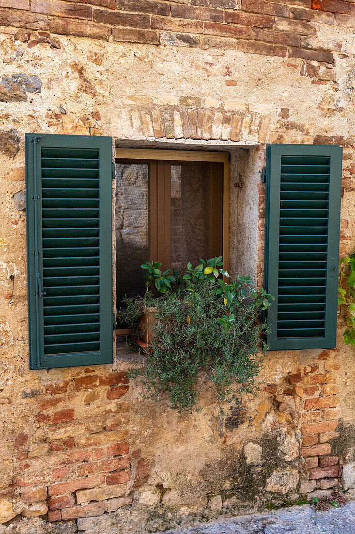 Wooden shutters on a building in the medieval walled town of Monteriggioni, Sienna, Tuscany, Italy. A potted plant is on the windowsill.