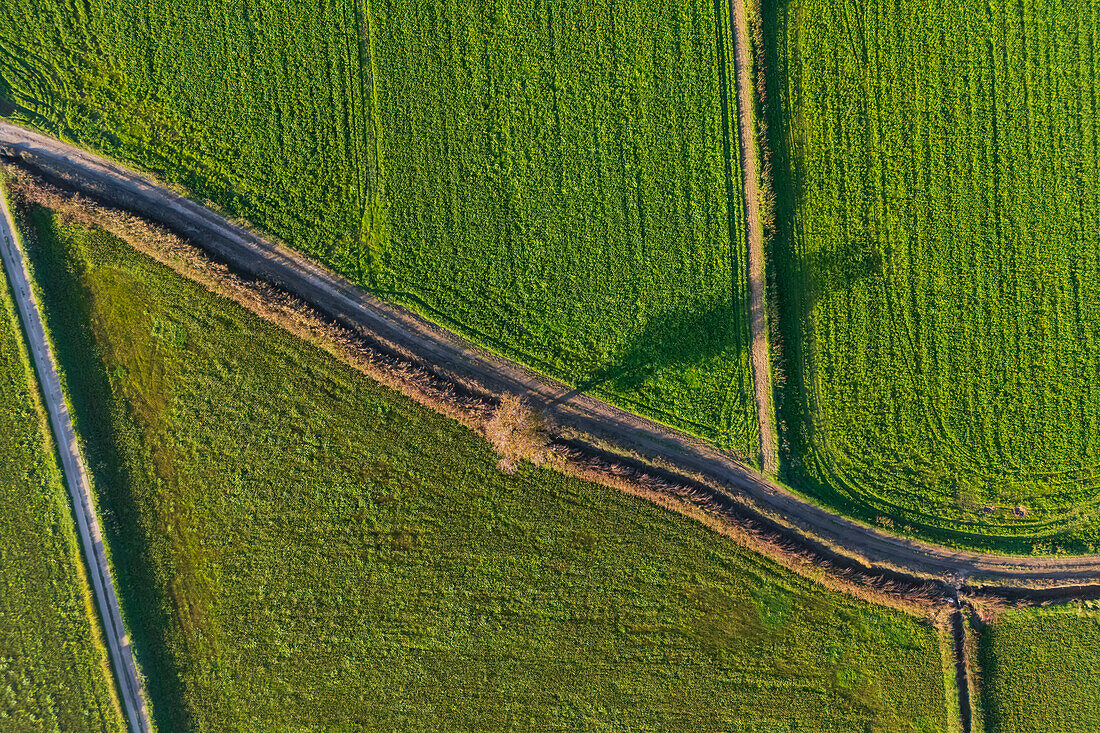 Aerial view of the fields in La Alfranca area in Zaragoza, Spain