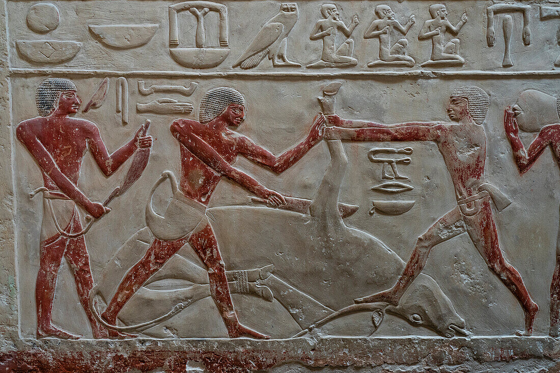 Tomb of princess Seshseshet Idut, complex of Saqqara, Egypt.