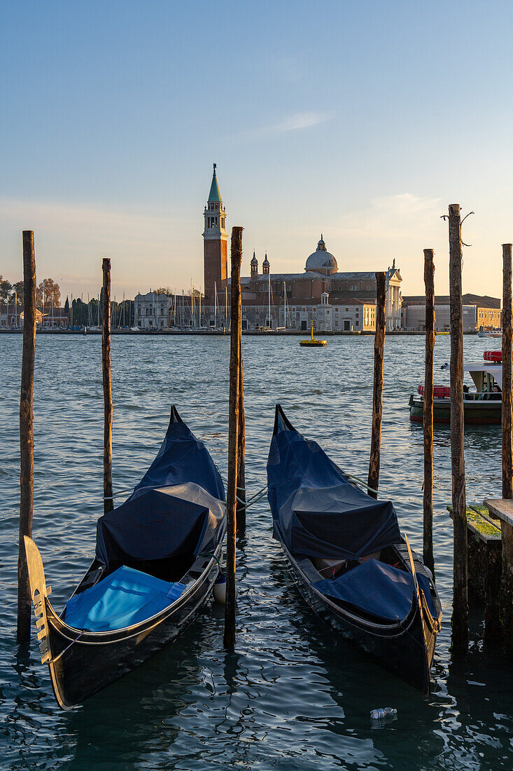 Gondolas moored and covered. Across the Giudecca Canal is the San Giorgio Maggiore Church in Venice, Italy.