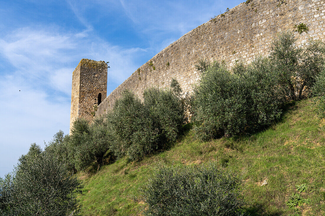 Wachturm auf der Stadtmauer der mittelalterlichen Festungsstadt Monteriggioni,Siena,Toskana,Italien. Von außen betrachtet.