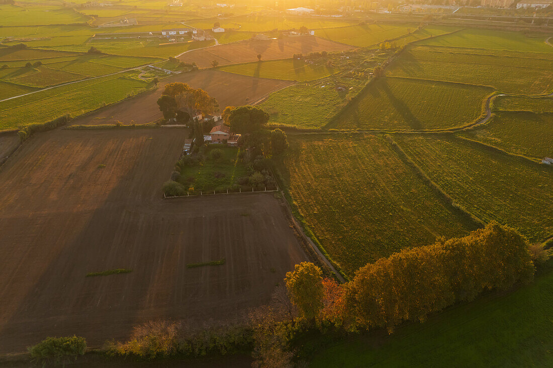 Aerial view of the fields in La Alfranca area in Zaragoza, Spain