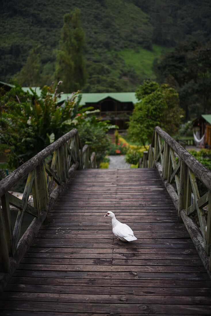 Hotel and Restaurant Iguaima in Combeima Canyon, Ibague, Colombia