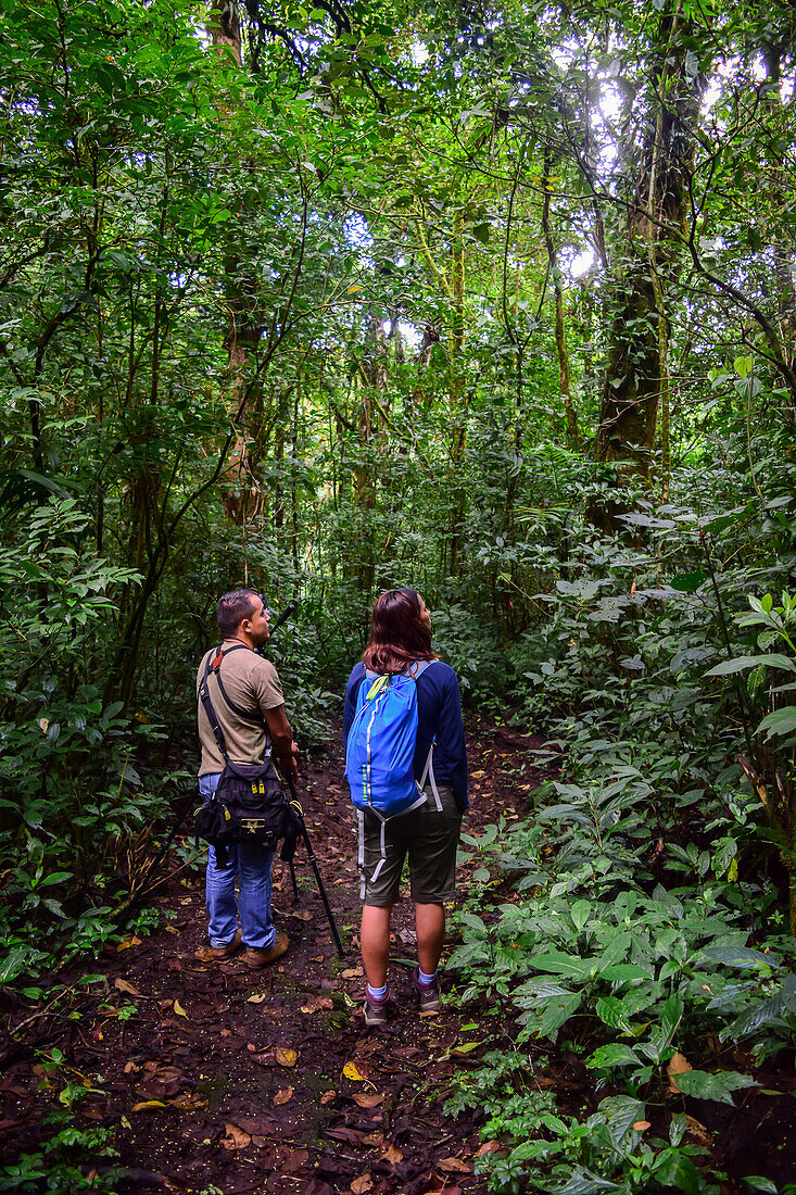 George of the Cloud Forest, guide and specialist, guides a young woman through Monterey cloud forest during fauna tour, Costa Rica