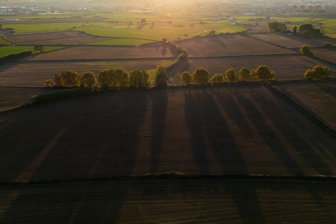 Aerial view of the fields and trees in La Alfranca area in Zaragoza, Spain