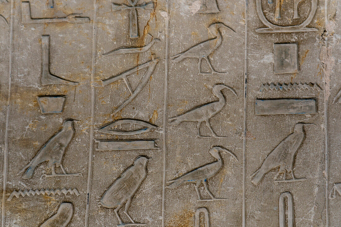 Hieroglyphics in the interior of the pyramid of Unas, complex of Saqqara, Egypt.