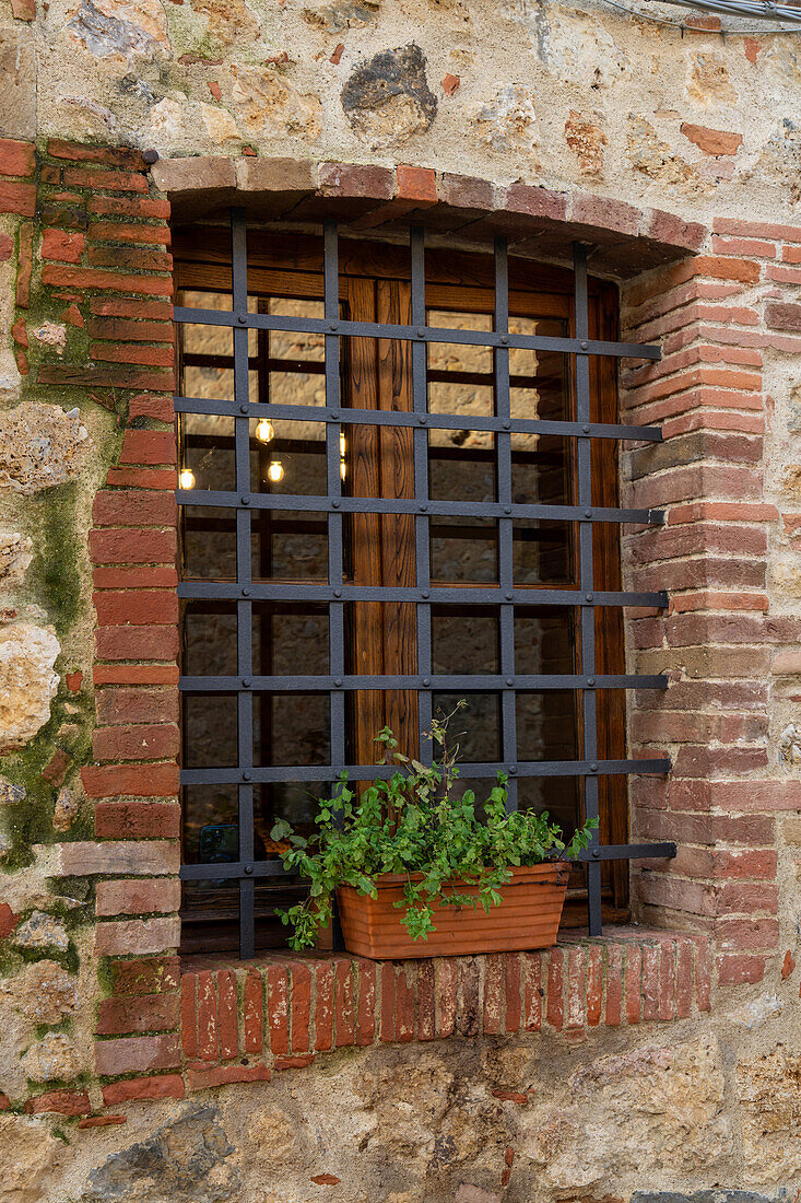 Barred window in a building in the medieval walled town of Monteriggioni, Sienna, Tuscany, Italy. A potted plant is on the windowsill.