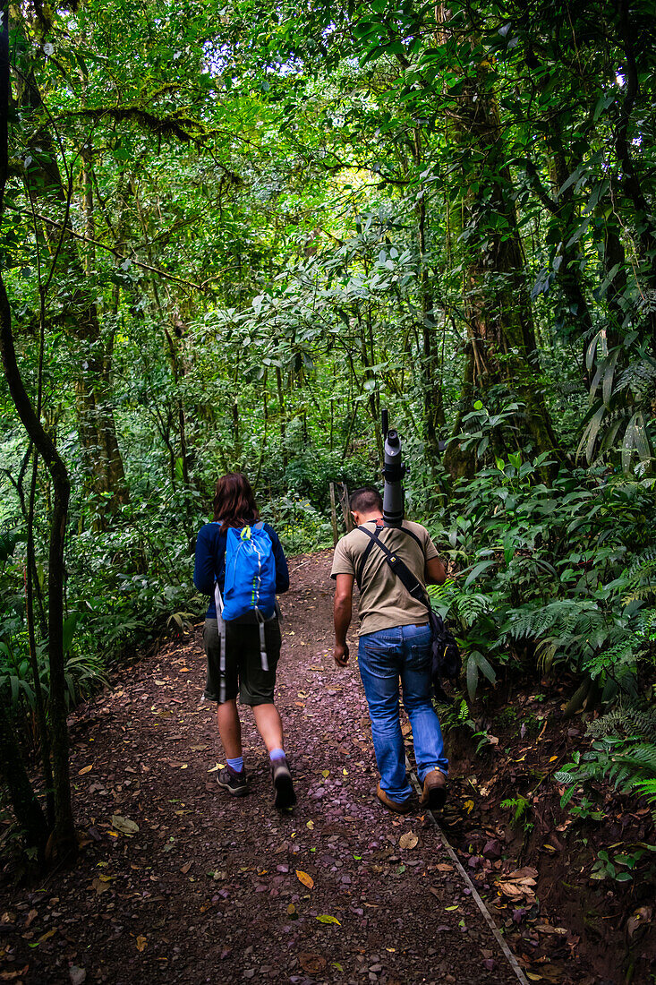 George of the Cloud Forest,Führer und Spezialist,führt eine junge Frau durch den Monterey-Nebelwald während einer Faunatour,Costa Rica