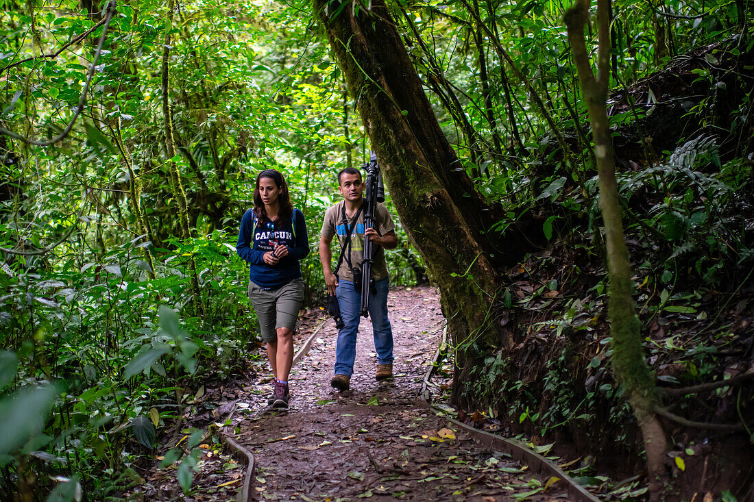 George of the Cloud Forest, guide and specialist, guides a young woman through Monterey cloud forest during fauna tour, Costa Rica