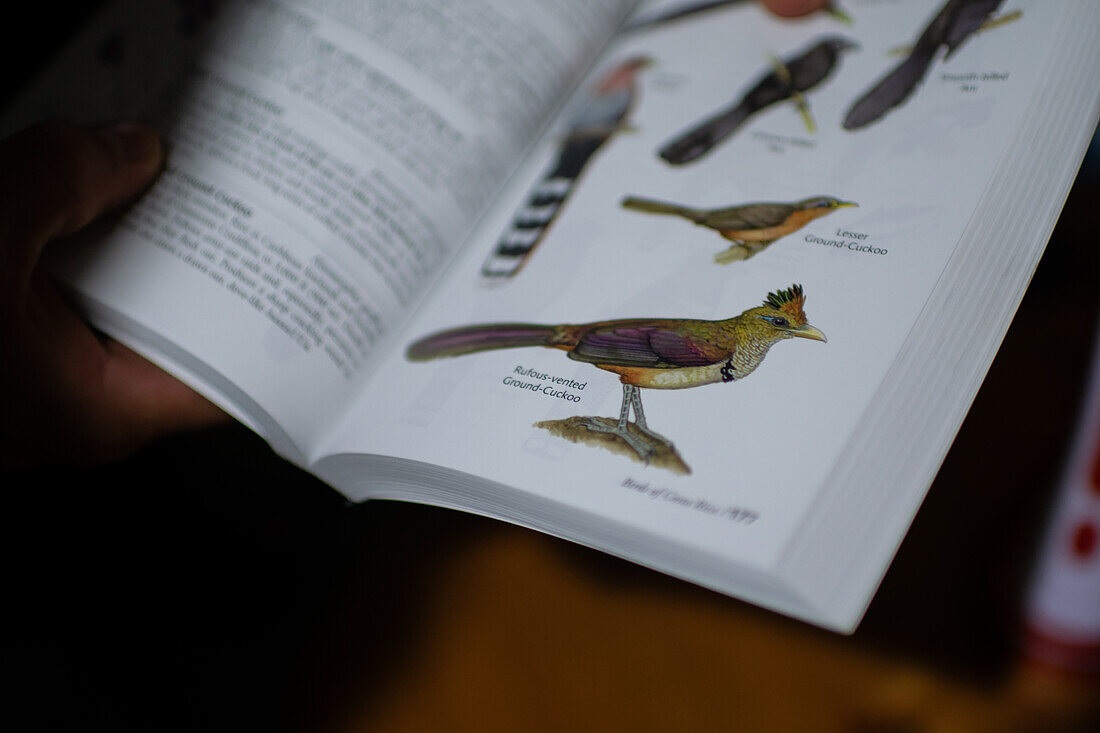 The Birds of Costa Rica book by Richard Garrigues and Robert Dean