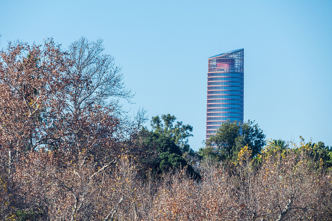 Blick auf den Torre Sevilla,der sich im malerischen Maria-Luisa-Park,Sevilla,Spanien,unter einem klaren blauen Himmel über die Bäume erhebt.